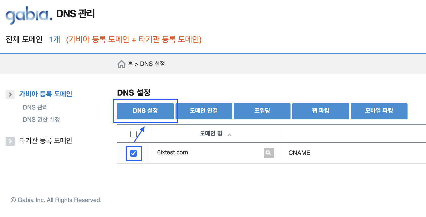 가비아 DNS 설정